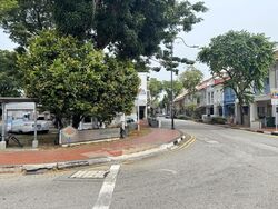 Joo Chiat Place (D15), Shop House #619484081